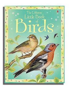 Hardcover The Usborne Little Book of Birds Book