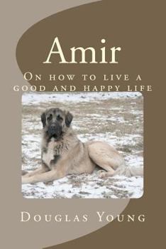Paperback Amir Book