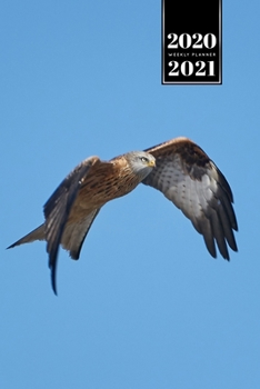 Falcon Hawk Bird Watching Ornithology Week Planner Weekly Organizer Calendar 2020 / 2021 - Wings Down: Cute Wildlife Animal Pet Bullet Journal Notebook Diary in 6” x 9” Inch Pocket Size