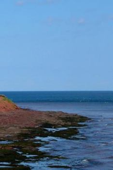 Paperback Prince Edward Island: Notebook Book