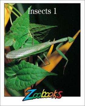 Creep Into the Busy World of Insects - Book  of the Zoobooks Series