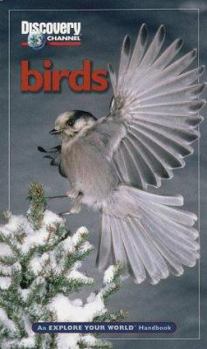 Paperback Discovery Channel: Birds: An Explore Your World Handbook Book