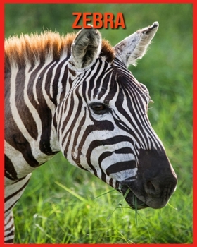 Zebra: Incredible Pictures and Fun Facts about Zebra