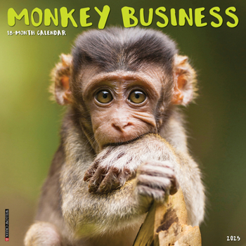 Calendar Monkey Business 2025 12 X 12 Wall Calendar Book
