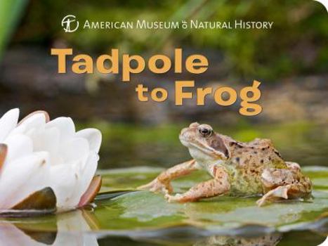Board book Tadpole to Frog Book