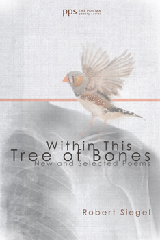 Paperback Within This Tree of Bones Book