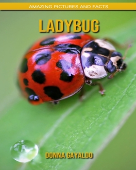 Paperback Ladybug: Amazing Pictures and Facts Book