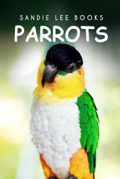 Paperback Parrots - Sandie Lee Books Book
