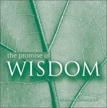 Paperback The Promise of Wisdom Book