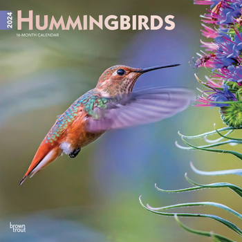 Calendar Hummingbirds 2024 Square Foil Book