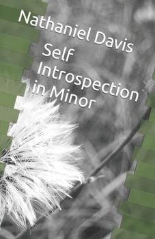 Paperback Self Introspection in Minor Book