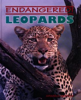 Hardcover Leopards Book