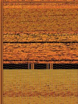 Into the Tiger's Mouth: A Novel of the China Trade, 1857-1863