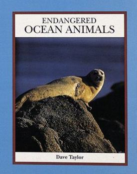 Paperback Endangered Ocean Animals Book
