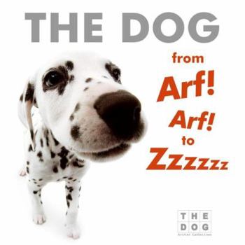 Board book The Dog from Arf! Arf! to Zzzzzz Board Book