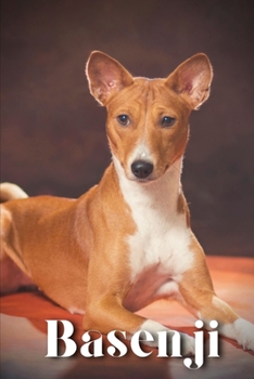 Paperback Basenji: Dog breed overview and guide Book