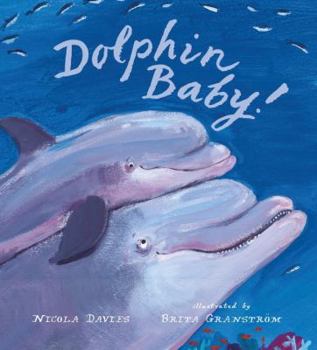 Hardcover Dolphin Baby! Book