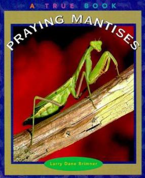 Hardcover Praying Mantises Book