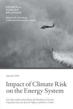 Paperback Impact of Climate Risk on the Energy System: Examining the Financial, Security, and Technology Dimensions Book