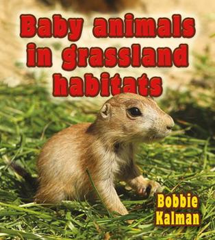 Hardcover Baby Animals in Grassland Habitats Book