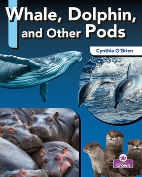 Library Binding Whale, Dolphin, and Other Pods Book