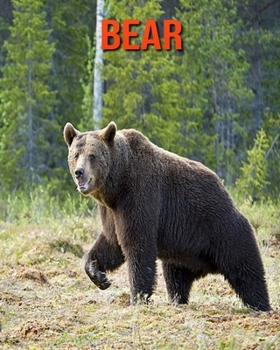 Bear: Super Fun Facts And Amazing Pictures