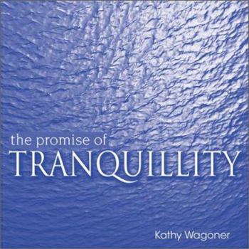 Paperback The Promise of Tranquillity Book