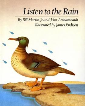Hardcover Listen to the Rain Book