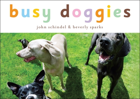 Board book Busy Doggies Book
