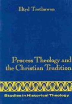 Paperback Process Theology and the Christian Tradition Book