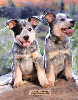Calendar Puppies, I Love 2024 Engagement Book