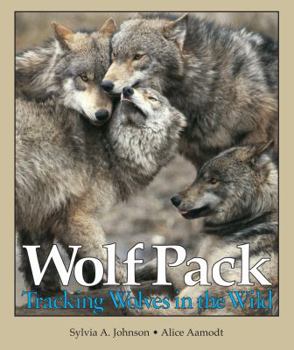Paperback Wolf Pack: Tracking Wolves in the Wild Book