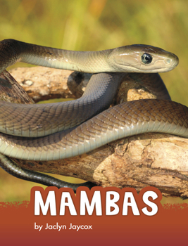 Hardcover Mambas Book
