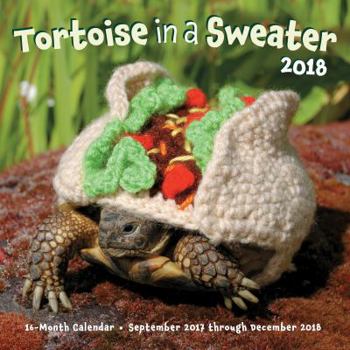 Calendar Tortoise in a Sweater 2018: 16-Month Calendar September 2017 Through December 2018 Book