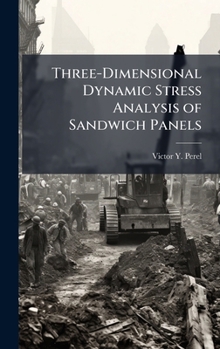 Hardcover Three-Dimensional Dynamic Stress Analysis of Sandwich Panels Book