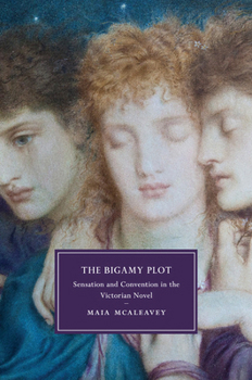 The Bigamy Plot: Sensation and Convention in the Victorian Novel - Book  of the Cambridge Studies in Nineteenth-Century Literature and Culture