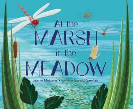 Hardcover At the Marsh in the Meadow Book