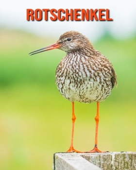 Rotschenkel: Sch?ne Bilder & Kinderbuch mit interessanten Fakten ?ber Rotschenkel
