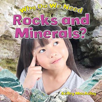 Library Binding Why Do We Need Rocks and Minerals? Book
