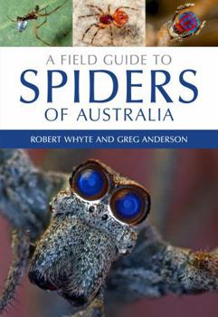 Paperback A Field Guide to Spiders of Australia Book