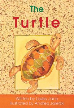 Paperback Foundations, the Turtle Book