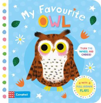 Board book My Favourite Owl Book