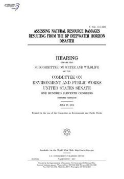Hearing with organizations targeted by Internal Revenue Service for their personal beliefs