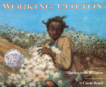 Working Cotton