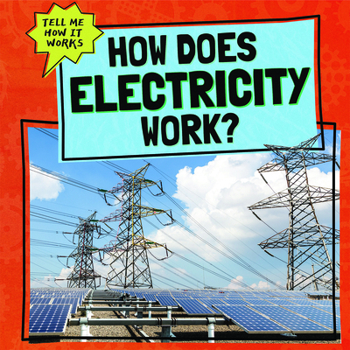 Library Binding How Does Electricity Work? Book