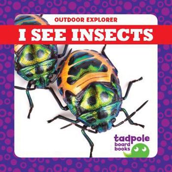 Board book I See Insects Book