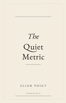 Paperback The Quiet Metric Book