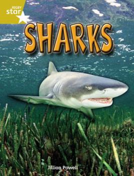 Paperback Rigby Star Independent Year 2 Gold Non Fiction Sharks Single: Gold Level Non-fiction Book