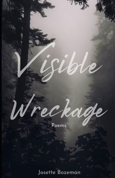 Paperback Visible Wreckage: Poems Book