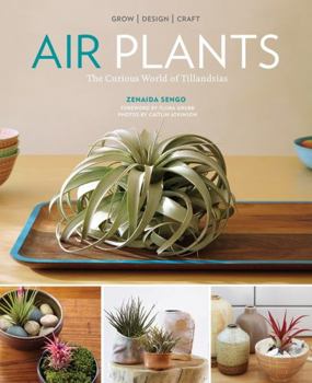Paperback Air Plants: The Curious World of Tillandsias Book